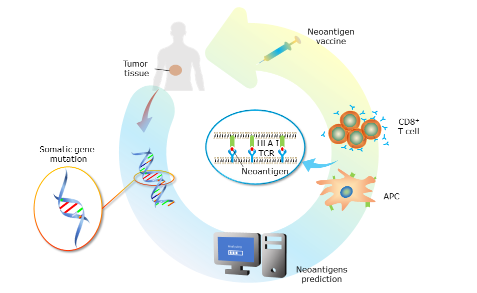 Neoantigen